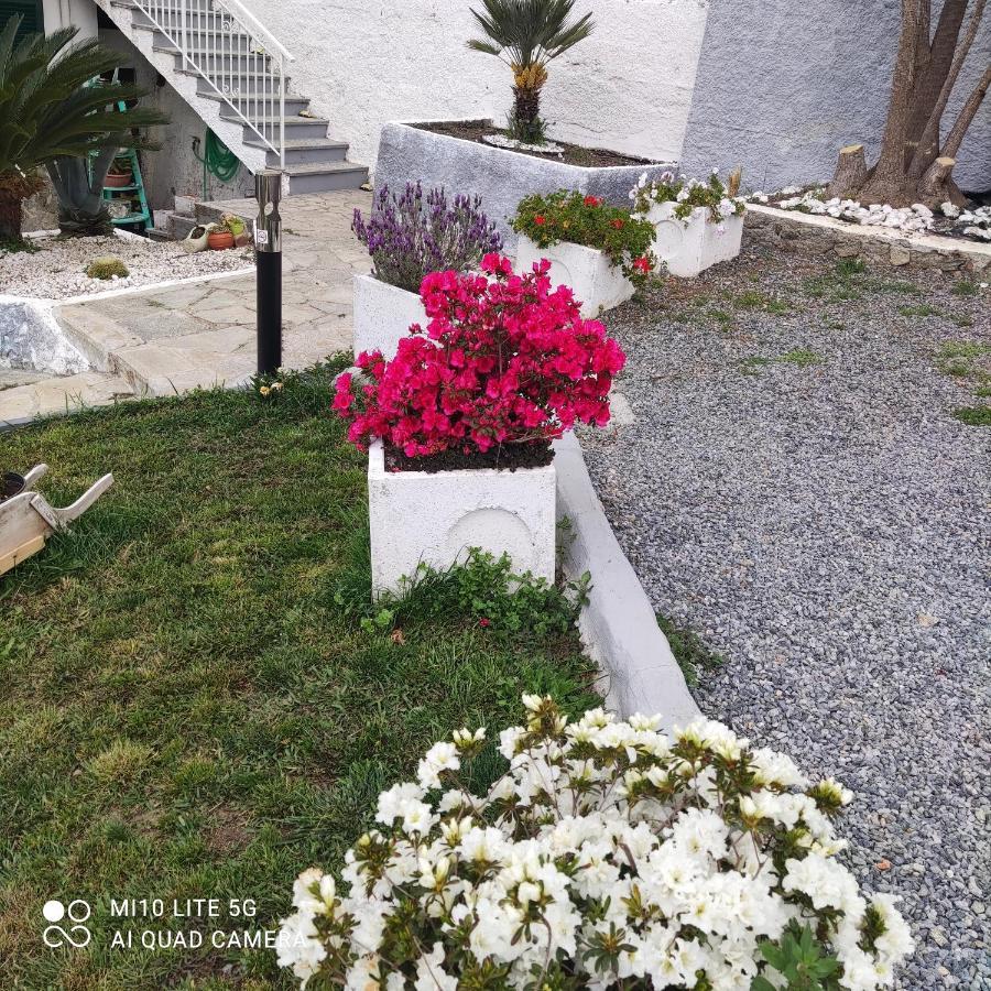 Agrifazenda Bed & Breakfast Cogoleto Bagian luar foto