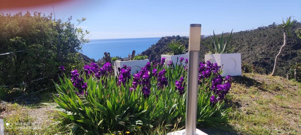 Agrifazenda Bed & Breakfast Cogoleto Bagian luar foto