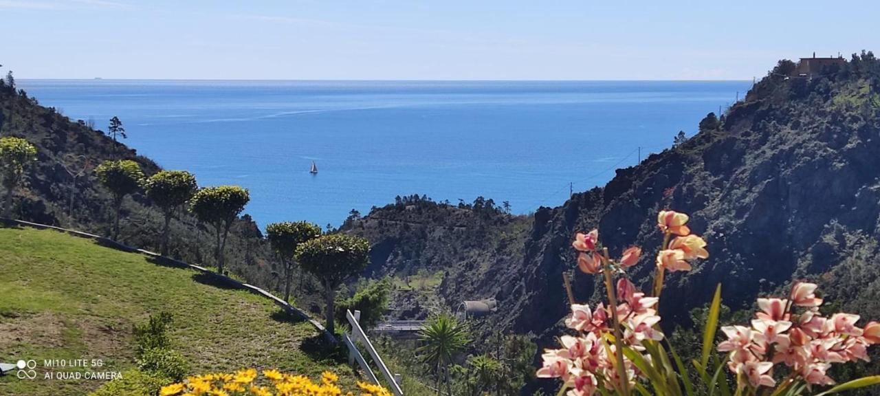 Agrifazenda Bed & Breakfast Cogoleto Bagian luar foto